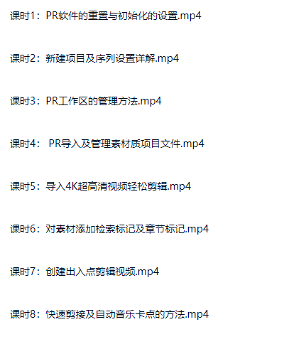 图片[1]-Premiere2019 22020制作从入门到精通（内含软件）-斑驳蓝