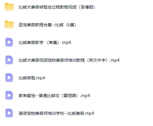 图片[1]-比熊 泰迪 雪纳瑞犬修建美容教程-斑驳蓝